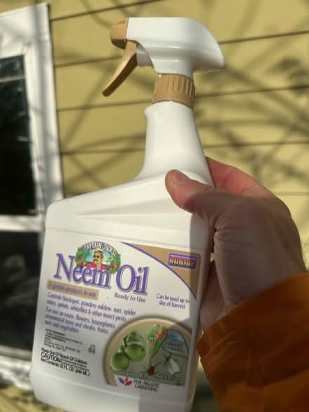 Photo of free Neem oil (S Portland near Macadam Av) #1