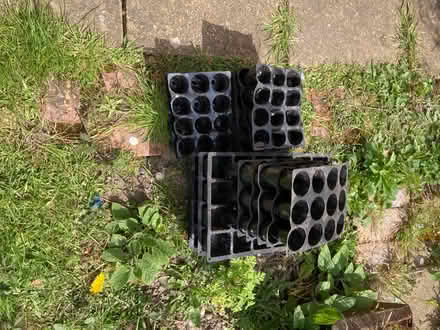 Photo of free Seed trays (Thorpe le soken) #1