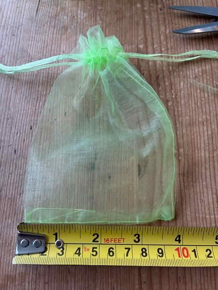 Photo of free Small net fruit bags (Bray) #1