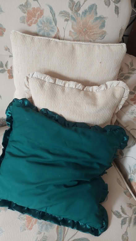 Photo of free Small cushions (University Area RG1) #1