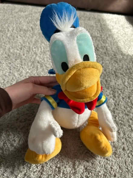 Photo of free 9 Disney teddies (Campbell Park MK9) #2