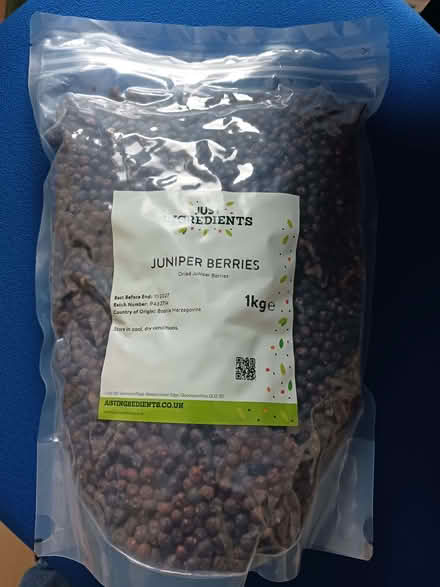 Photo of free Juniper berries (Kempshott RG22) #1