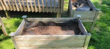 Photo of free Raised cedar planters (Hillwood) #3