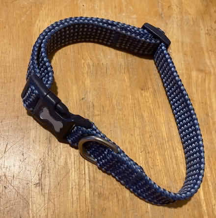 Photo of free Kurgo Large size dog harness and blue bone motif collar (Northcourt OX14) #2
