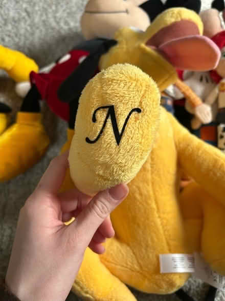 Photo of free 9 Disney teddies (Campbell Park MK9) #3