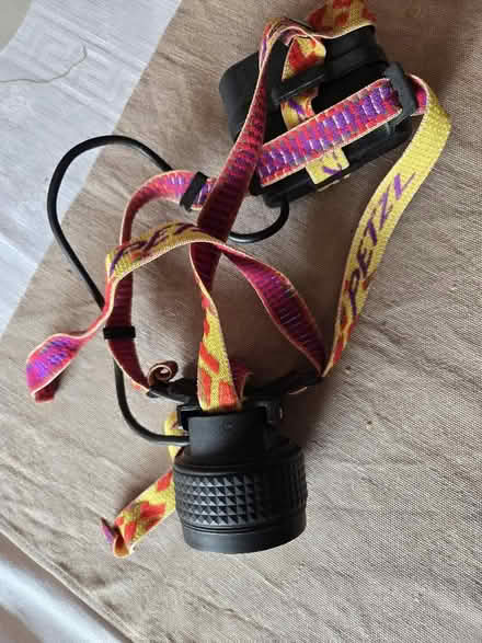 Photo of free Petal head torch (Aldrington BN3) #2