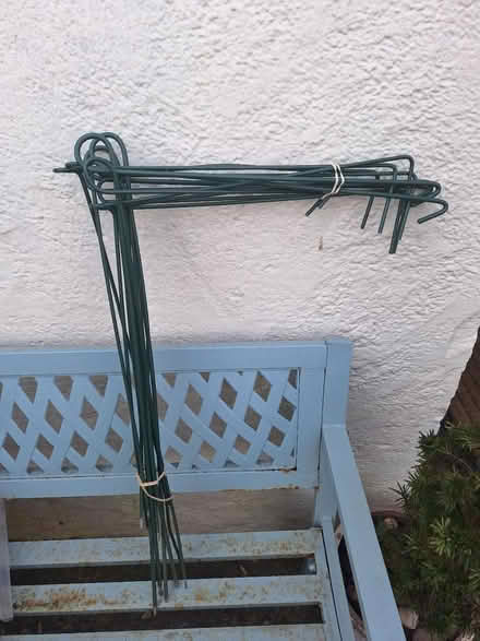 Photo of free Plant supports (Forestgreen) #1