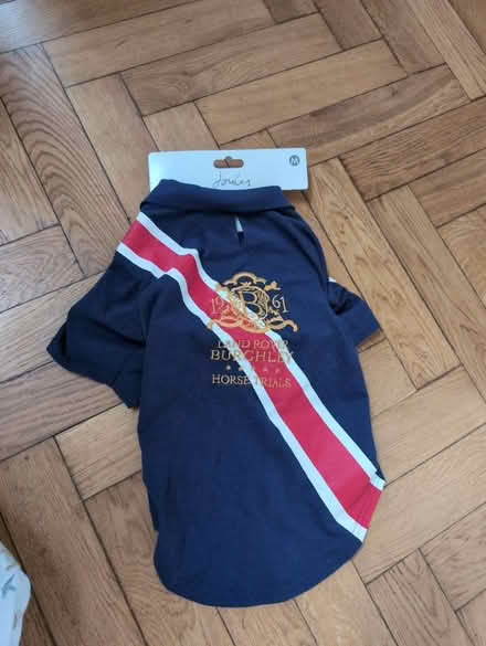 Photo of free Dog T shirt (AL1) #1