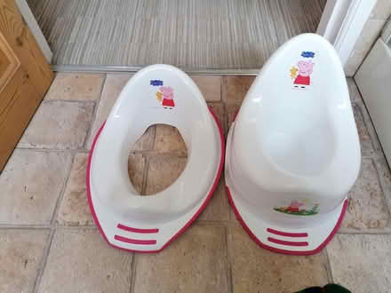 Photo of free Potty and Toilet Trainer Seat (Hartwood Green PR7) #1