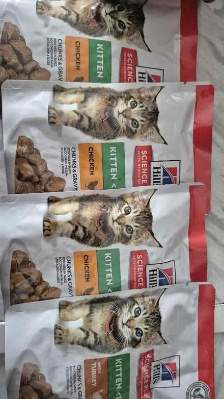 Photo of free Kitten/Cat wet food in gravy (8 items) (Figge's Marsh CR4) #3