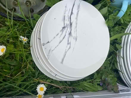 Photo of free Dinner plates & side plates (see all 3 photos) (Cogges OX28) #3