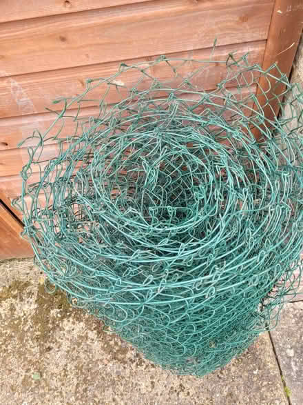 Photo of free Plastic coated fencing (Writtle CM1) #1