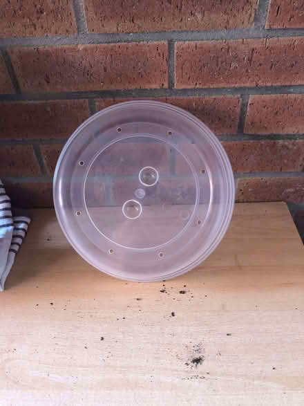 Photo of free Microwave Plate cover (Wood Farm OX3) #1