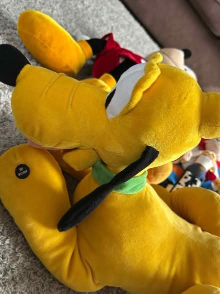 Photo of free 9 Disney teddies (Campbell Park MK9) #4