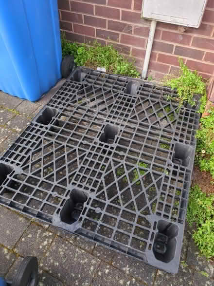 Photo of free Plastic Pallet (Allestree DE22) #1