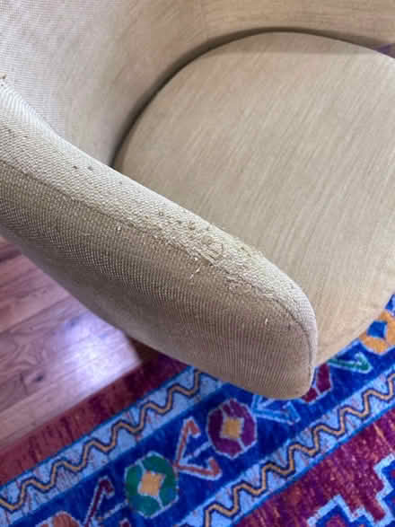 Photo of free West Elm club chairs (Norwalk) #3