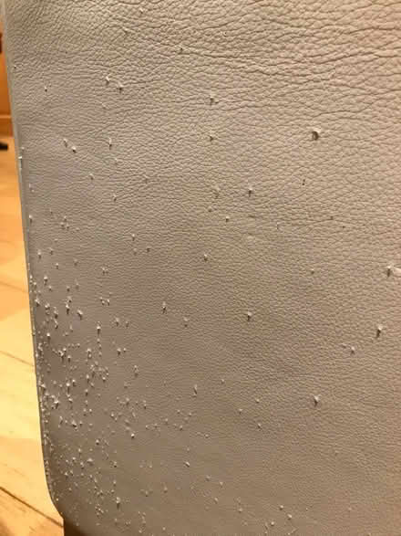 Photo of free White leather sofa (Chalk Farm NW5) #2