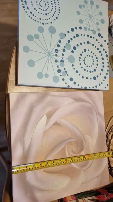 Photo of free Canvas pictures, 1 framed picture, 1 print (cat) (Dunkeswell EX14) #4