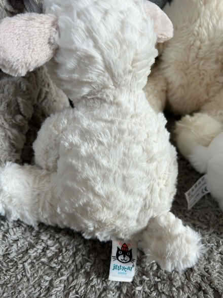 Photo of free 10 teddies (Campbell Park MK9) #4