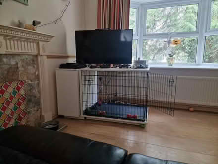 Photo of free Dog crate furniture with storage (Bournemouth BH2) #1
