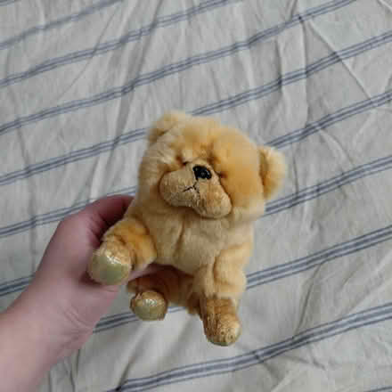 Photo of free Zodiac Dog beanie baby (no tags) (Suju's on Decoto Road) #2