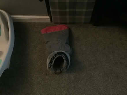 Photo of free Small dog coat (Edinburgh EH9.) #1