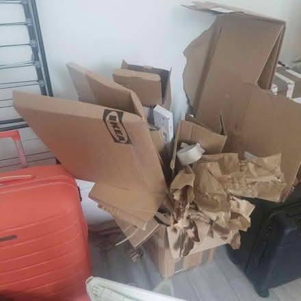 Photo of free Moving boxes and packing material (N15 3LU) #2