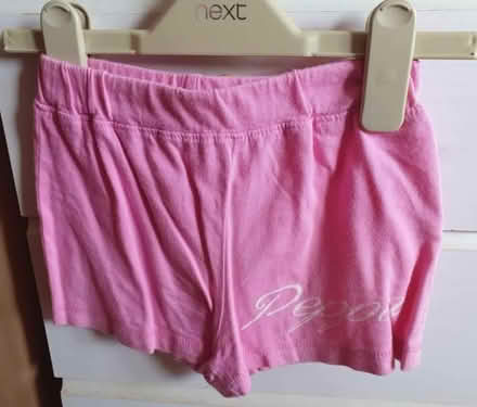 Photo of free Peppa pig outfit age 3 (Morecambe LA4) #3