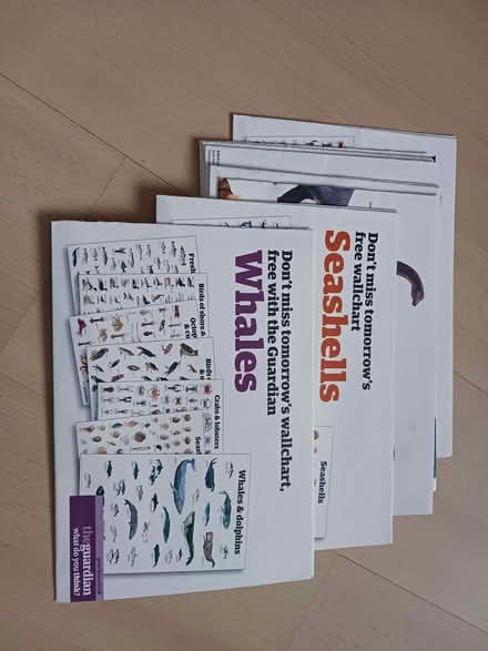 Photo of free Nature Wallcharts (Kempshott RG22) #1