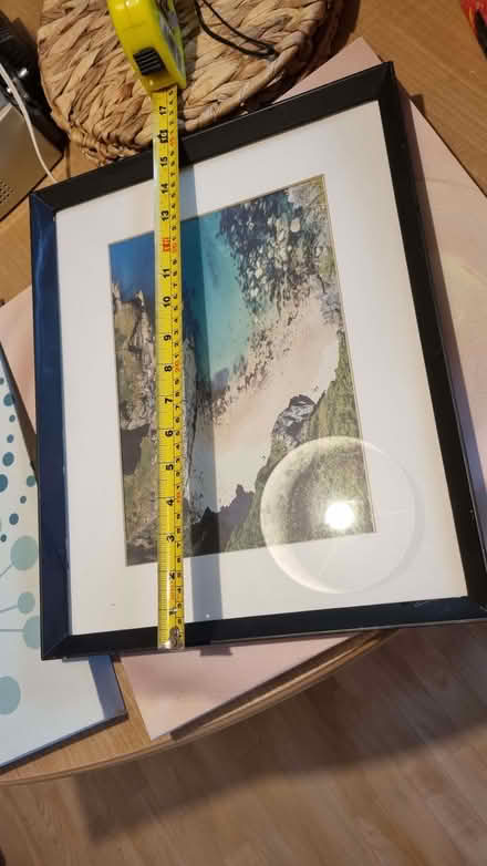 Photo of free Canvas pictures, 1 framed picture, 1 print (cat) (Dunkeswell EX14) #2