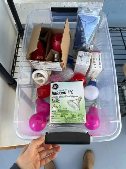 Photo of free Box of lightbulbs (Park View - Colombia Heights) #1