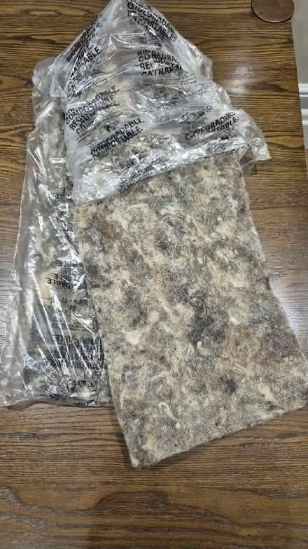 Photo of free Packaging / plant beds / sheep's wool (Milber TQ12) #1