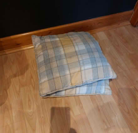 Photo of free Cushions (WF1) #1