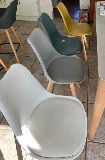 Photo of free 8 Habitat Jerry dining chairs (Haywards Heath/ Lindfield) #1