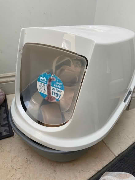 Photo of free Cat starter supplies (South Otterington DL7) #1