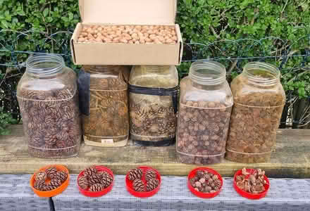 Photo of free Craft items (WA4) #2