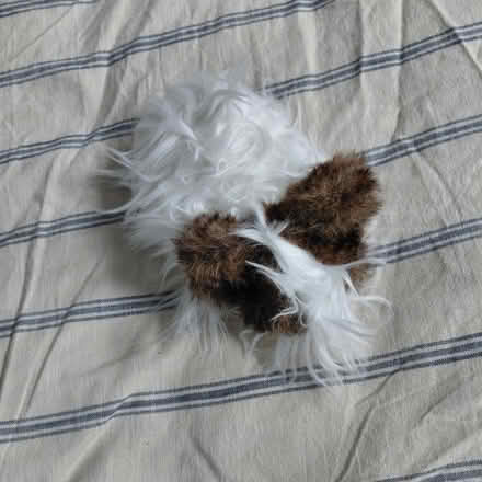 Photo of free Handmade guinea pig plush (Suju's on Decoto Road) #1