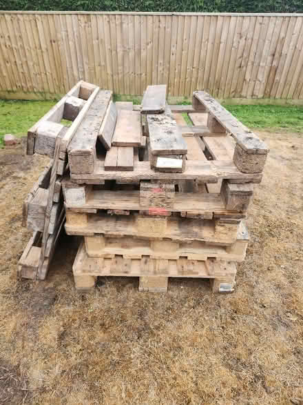 Photo of free Pallets (Bowbridge GL5) #1