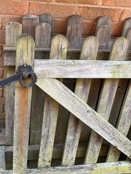 Photo of free Fencing & Gates (Titchfield Common PO14) #2