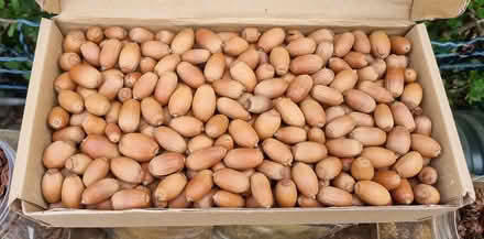 Photo of free Craft items (WA4) #4