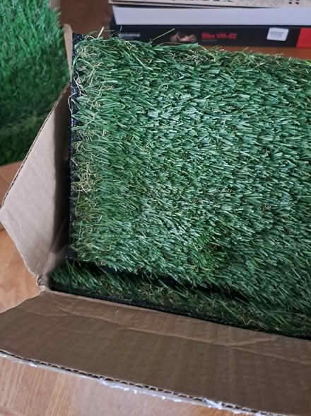 Photo of free Artificial Grass samples (Emsworth PO10) #2