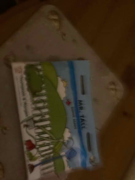 Photo of free Runner Bean Seeds (Letchworth wilbury) #1