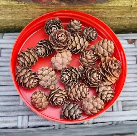 Photo of free Craft items (WA4) #3