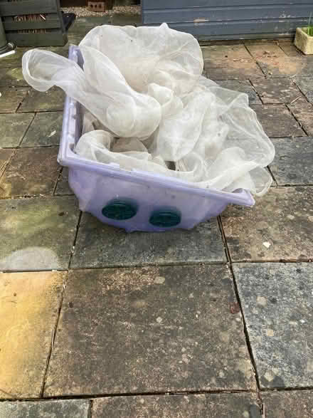 Photo of free Garden covers, fleeces and planters (Chellaston DE73) #3