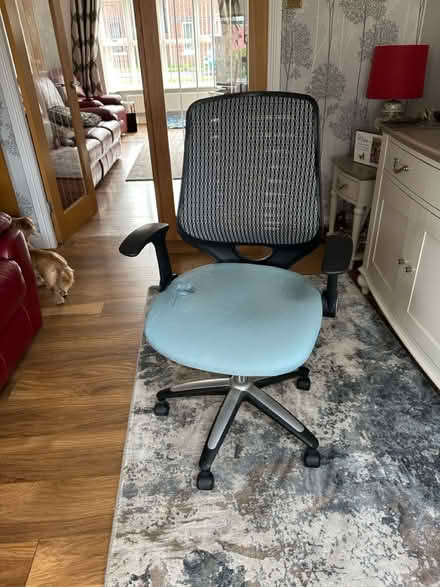 Photo of free Office chair (darwen BB3) #1