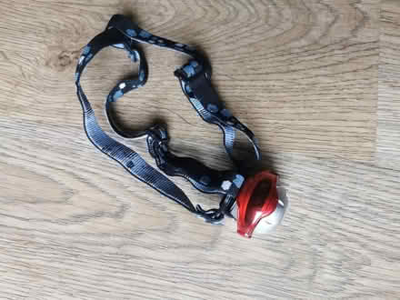 Photo of free Head Torch (Newnham RG27) #1