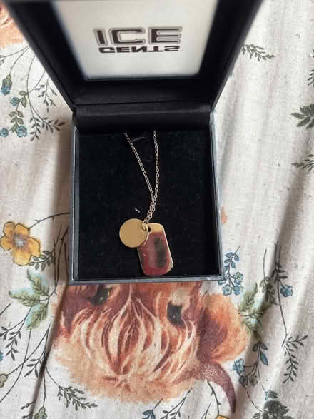 Photo of free Dog tags (Calcot RG31) #1