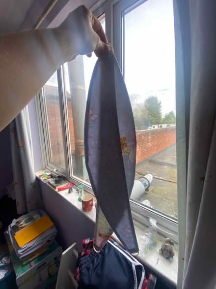 Photo of free Fairy curtains/matching bed sheets (B91) #4