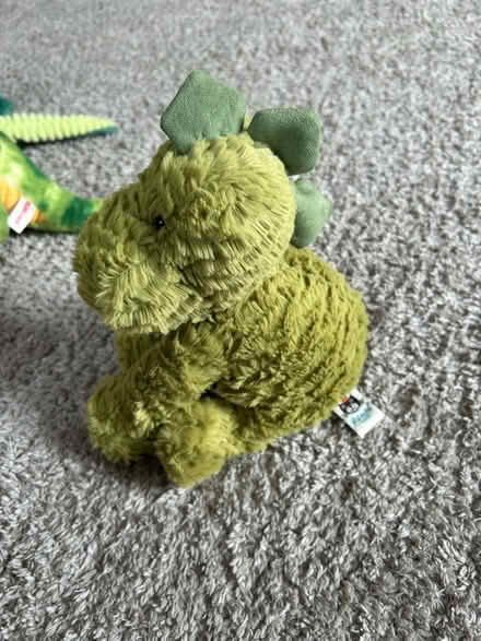 Photo of free 9 dragon/dino and shark teddies (Campbell Park MK9) #3