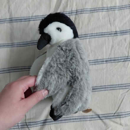 Photo of free Penguin puppet (Suju's on Decoto Road) #1